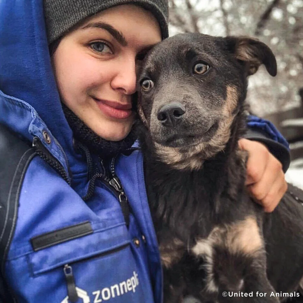 Animal Reunification Efforts