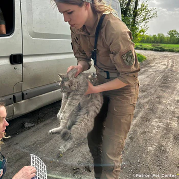 Rescue Efforts in Ukraine